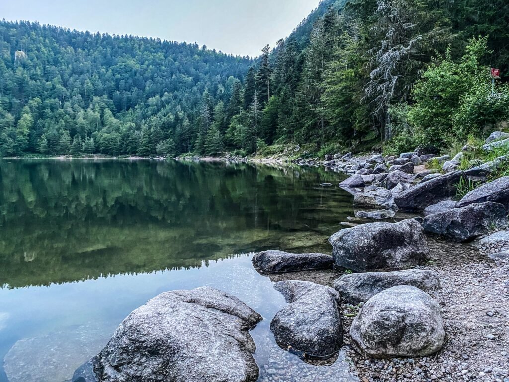 Lac des corbeaux Banks, La Bresse, Vosges, France